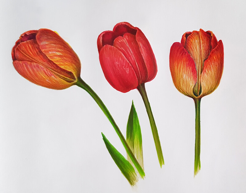 20 Easy Flowers Drawing Ideas For Beginners To Try