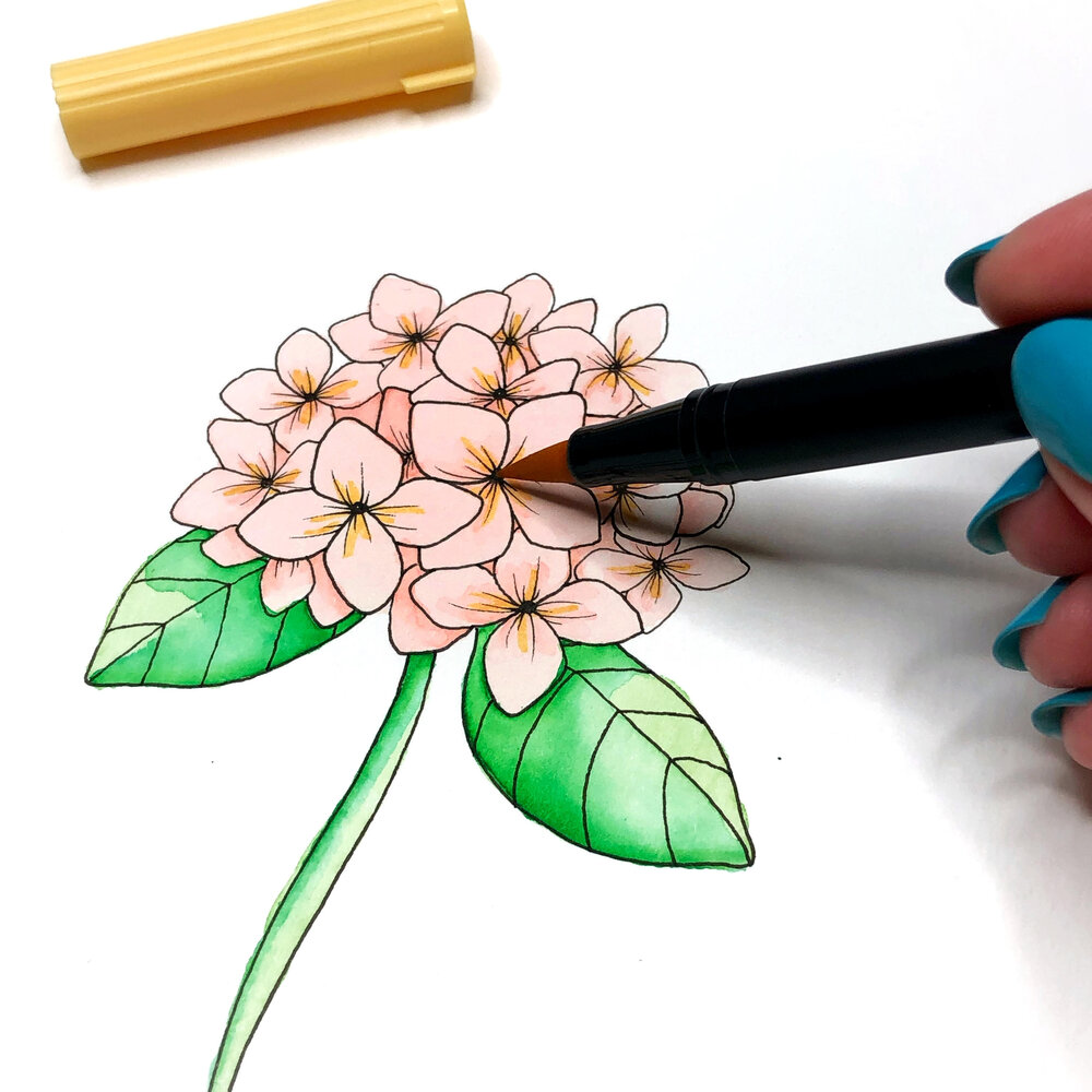 20 Easy Flowers Drawing Ideas For Beginners To Try