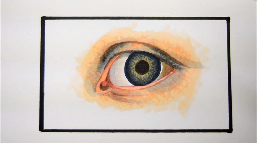 Hare eye in coloured pencil by hughesy23412 on DeviantArt