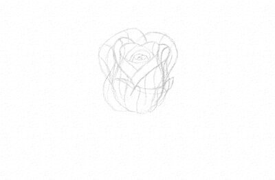 15 Easy Steps to Draw a Rose