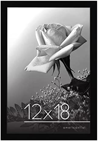 2 Pack 12x18 Black Poster Photo Frame – Horizontal/Vertical, Plexiglass, Wall Mount, Golden State Art