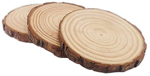 Unfinished Natural Wood Slices 12 Pcs 3.5-4 inch Craft Wood Kit Circles Crafts C