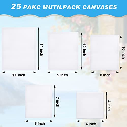 25 Pack Stretched Canvases Board White Blank Stretched Canvas Cotton  Stretched Artist Canvas Multipack Triple Gesso Art Stretched Canvas Panels  for Wet Art Media Painting Oil Paint Acrylic Paint
