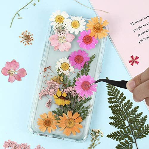 Real Dried Pressed Leaf Flowers Plant Herbarium for Craft Jewelry Making  Multiple Colorful Pressed Flowers Daisies for Craft Resin Jewelry Making  Art Craft DIY and Soap Candle Scrapbooking (Blue)