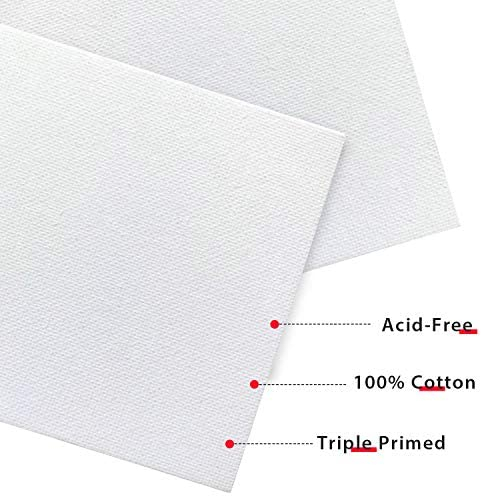 PHOENIX Large Painting Canvas Panels - 16x20 Inch, 6 Value Pack - 8 Oz  Triple Primed 100% Cotton Acid Free Canvases for Painting, White Blank Flat