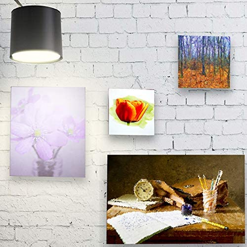 Stretch Canvas Panels - Sets of 5