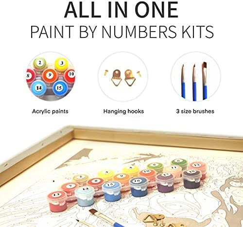 Oil Painting Paint By Numbers Kit For Adults Beginner, Colorful