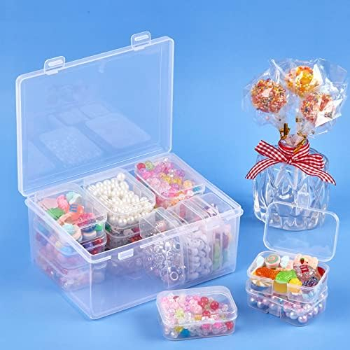 30 Pcs Small Plastic Storage Containers with Hinged Lids - Clear Bead