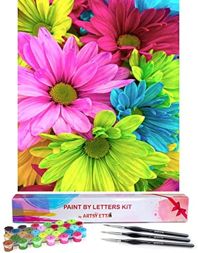Paint by Number for Adults Beginners with Letters - Adults' Paint-by-Number  Kits - Paint by Numbers Flowers - Easy DIY Acrylic Painting on Canvas, Sip