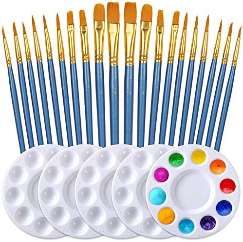  Paint Brushes Set for Acrylic Painting, 20 Pcs Oil