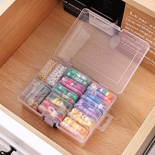 Quefe 14pcs Bead Organizers in A Clear Box, Clear Plastic Diamond Painting  Storage Container with Mini Clear Boxes for Craft Organziers and Storage  Art Embroidery Nail Accessories
