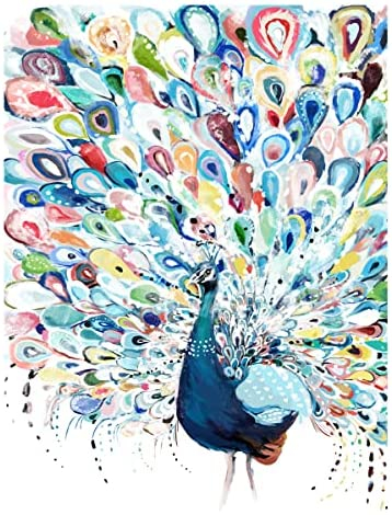 Slody Paint by Number for Adults Peacock Adult Paint by Numbers Kit on  Rollded Canvas Colorful Animal Drawing Acrylic Beginner Paintwork DIY  Crafts Without Frame 16x20 Inch | ArtBeek