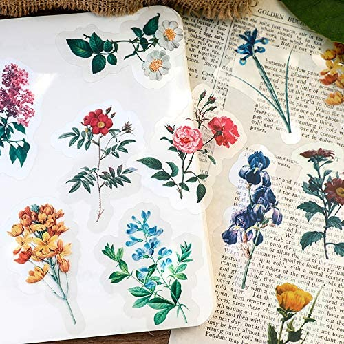 ZMLSED Vintage Natural Scrapbook Stickers, 40Pcs Floral Border Decorative  Retro Decal Adhesive Watercolor Aesthetic for Craft Art Bullet Junk Journal