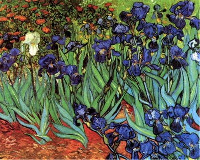 Paint by Numbers for Adults Kids, Iris Flowers by Van Gogh 16x20 Inch