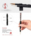 Easyou Calligraphy Painting Sets for Japanese Chinese Calligraphy Practice Beginner (blue)