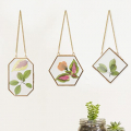 Apipi 3 Pcs Glass Frame for Pressed Flowers- Golden Hanging Glass Picture Frames with Chain- Hanging Brass Glass Frame- Pressed Flowers Glass Frames for Wall Decor Plant Specimen Photo Display