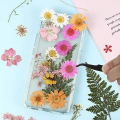 Nuanchu Pressed Flowers Resin Flowers for Resin Mold, Real Daisy Dried Flower Leaves Natural with Tweezers for Scrapbooking DIY Candle Accessories Jewelry Crafts Making