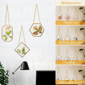 Apipi 3 Pcs Glass Frame for Pressed Flowers- Golden Hanging Glass Picture Frames with Chain- Hanging Brass Glass Frame- Pressed Flowers Glass Frames for Wall Decor Plant Specimen Photo Display