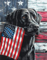 PaintWorks 73-91793 Patriotic Dog Paint by Number Kit for Adults and Kids, 11