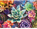 5D Diamond Painting Kits for Adults - Paint with Diamonds Full Round Drill 5D Diamond Dots Craft Diamond Art Kits - Home Wall Decor and Adults Kids DIY Gift(Succulents 12 X 16 inch)