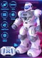 RC Robot Toys for Kids, Large Programmable Remote Control Smart Walking Dancing Robot