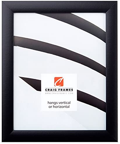 Craig Frames 1WB3BK 16 by 20 Inch Picture Frame, Smooth Wrap Finish