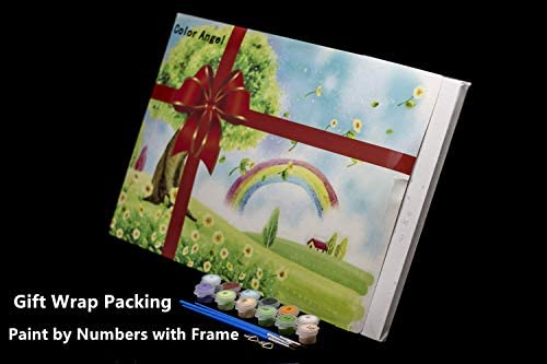 Framed Paint by Number Color Angel DIY Oil Acrylic Paint by Numbers for Kids Sized 12