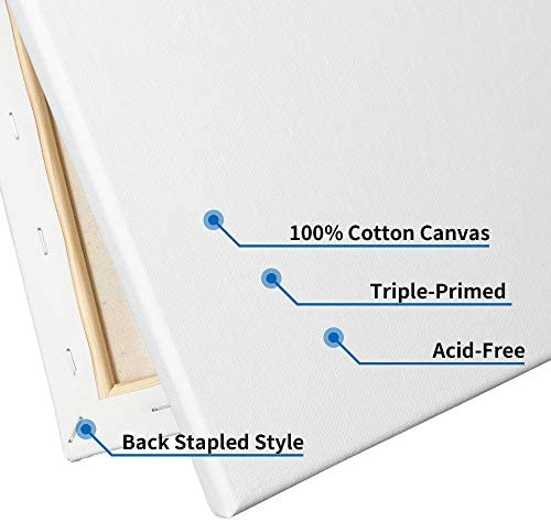 FIXSMITH Stretched White Blank Canvas- 5x7 Inch,6 Pack