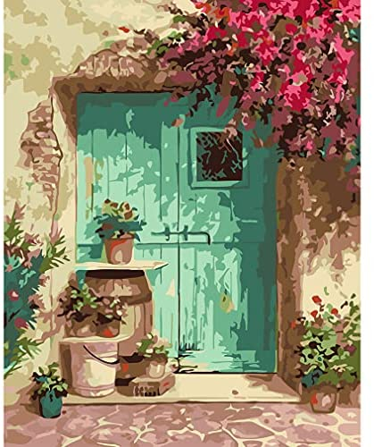 Paint by Numbers for Adults,eniref Paint by Numbers for Adults Beginner Blue Door with Flower