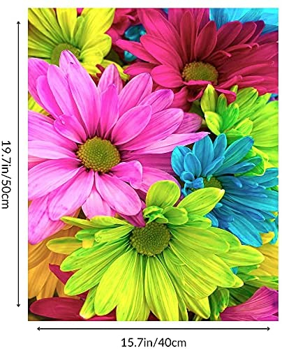 Paint by Number for Adults Beginners with Letters - Adults' Paint-by-Number Kits - Paint by Numbers Flowers - Easy DIY Acrylic Painting on Canvas, Sip & Craft Art for Home Wall Décor