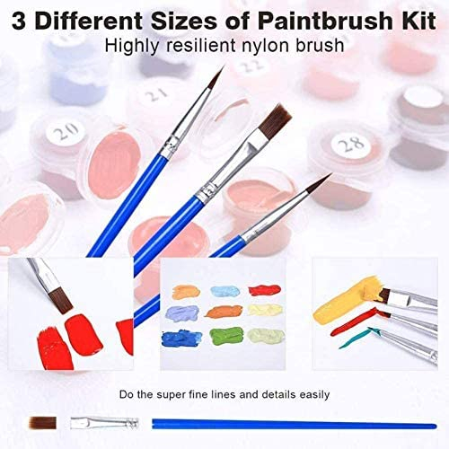 DIY Paint by Numbers for Adults Beginner, Adult Paint by Number Kits on Canvas Number Painting for Adults Star Wars Acrylic Painting Kit