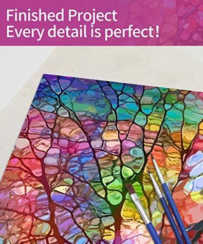 Petrala Paint by Number for Adults DIY Acrylic Paint by Numbers Kits on Canvas Tree of Life Drawing Colorful Paintworks Artwork for Beginner Without Frame, 16 x 20 Inch