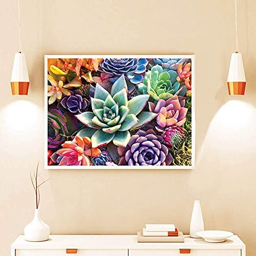 5D Diamond Painting Kits for Adults - Paint with Diamonds Full Round Drill 5D Diamond Dots Craft Diamond Art Kits - Home Wall Decor and Adults Kids DIY Gift(Succulents 12 X 16 inch)