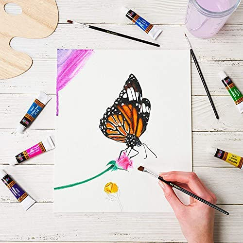 Acrylic Paint Set Color Paint Kit For Artists & Beginners Craft Paints for Paper,Canvas