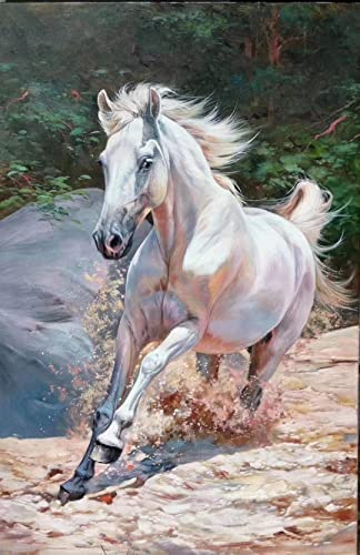 Entongstar Color Paint Acrylic Painting DIY Paint by Numbers Kit for Adults Kids and Beginners Crafts Projects for Home Decoration---Running Horse Pattern
