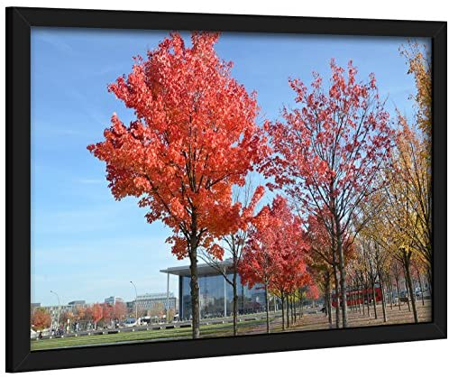Medog 11x17 Picture Frame In Black Set of 1 Display 17x11 Inch Picture Document Certificate Frames With Mat (not include) Display 11x14 11x9 12x10 11x7 9x7 Picture Frame (P1L BA)