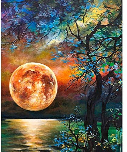 Hlison DIY Paint by Numbers for Adults Beginner, Moon Easy Paint by Numbers for Beginner